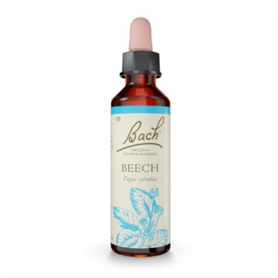 Bach Beech 20ml